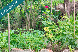  maison villemur-sur-tarn 31340