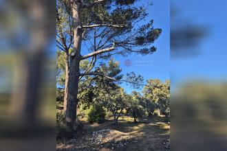  maison villeneuve-les-avignon 30400