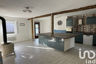  maison villeneuve-sur-allier 03460