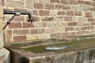  maison vilsberg 57370