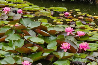  maison vimoutiers 61120