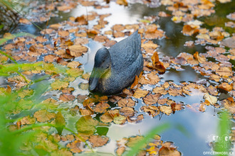 maison vorges-les-pins 25320