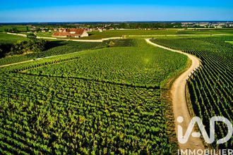  maison vougeot 21640