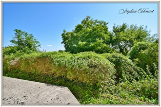  maison vouziers 08400