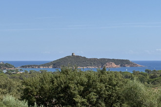  maison zonza 20124