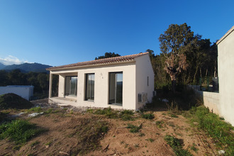  maison zonza 20144