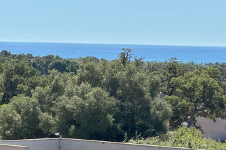  maison zonza 20144