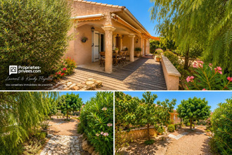  maison zonza 20144