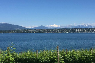 neufs appartement ferney-voltaire 01210