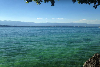 neufs appartement ferney-voltaire 01210