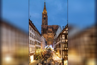 neufs appartement strasbourg 67100