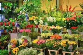 neufs localcommercial cannes 06150