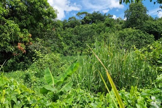  terrain abymes 97139