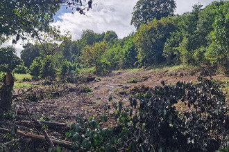  terrain abymes 97139