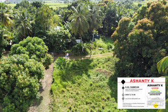  terrain abymes 97139