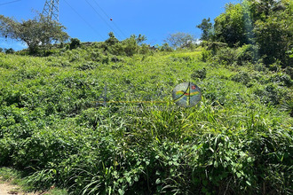  terrain abymes 97139