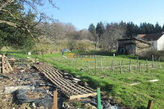 terrain aillevillers-et-lyaumt 70320