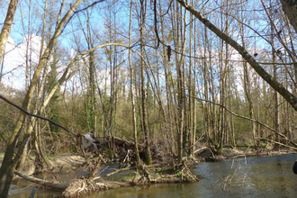  terrain airvault 79600