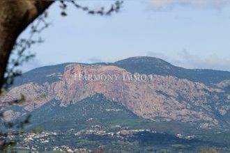  terrain ajaccio 20000