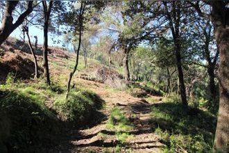  terrain ajaccio 20000