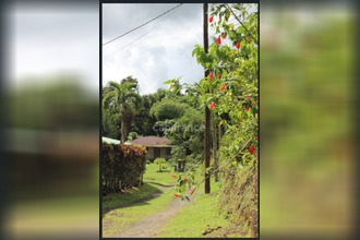  terrain ajoupa-bouillon 97216