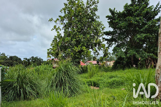  terrain ajoupa-bouillon 97216