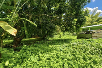  terrain ajoupa-bouillon 97216