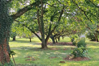 terrain alaincourt-la-cote 57590