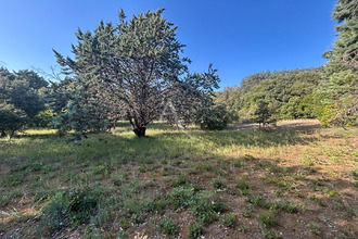  terrain alairac 11290