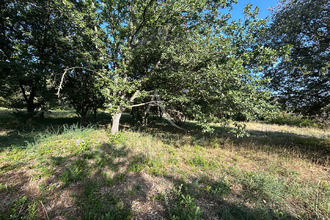  terrain alairac 11290