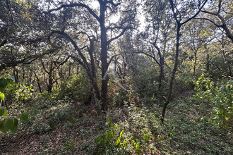  terrain alairac 11290