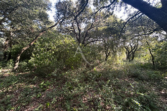  terrain alairac 11290