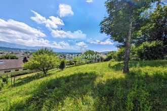  terrain albens 73410