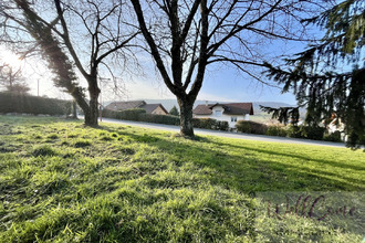  terrain albens 73410