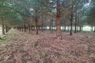  terrain alencon 61000