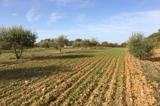  terrain alignan-du-vent 34290