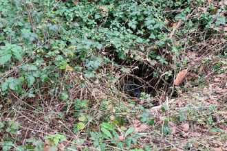  terrain altillac 19120