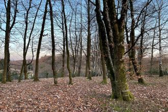  terrain ambazac 87240