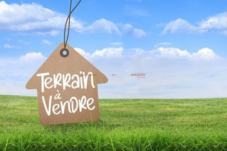  terrain ambon 56190