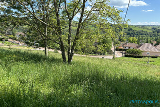  terrain amplepuis 69550