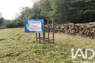  terrain anchamps 08500