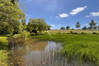  terrain andouille 53240