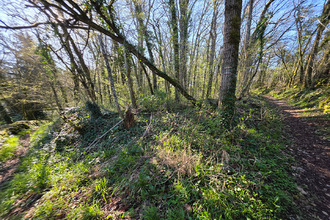  terrain angles-sur-l-anglin 86260