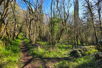  terrain angles-sur-l-anglin 86260