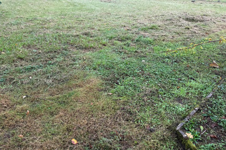  terrain angrie 49440