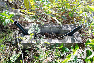  terrain anse-bertrand 97121