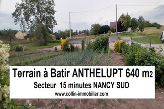  terrain anthelupt 54110