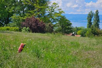  terrain anthy-sur-leman 74200