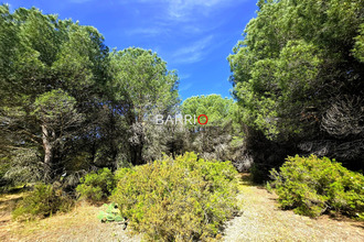  terrain argeles-sur-mer 66700