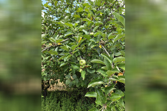  terrain argenton-sur-creuse 36200